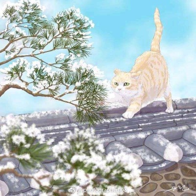 猫系