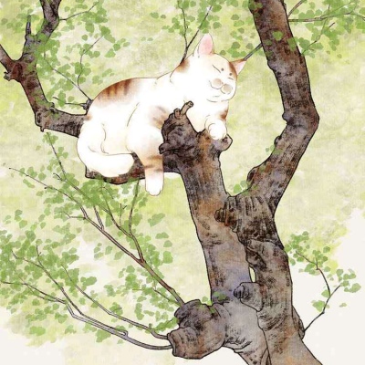 猫系