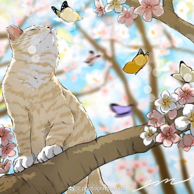 猫系