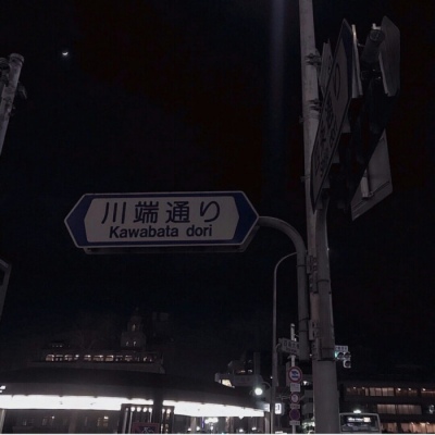 林知意/背景图/我预谋在某个阳光明媚的地方遇见你