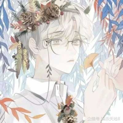 懒猫:各种各样的男头?