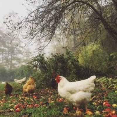 林知意/聊天背景图/你找到了那个陪你跨年的人么