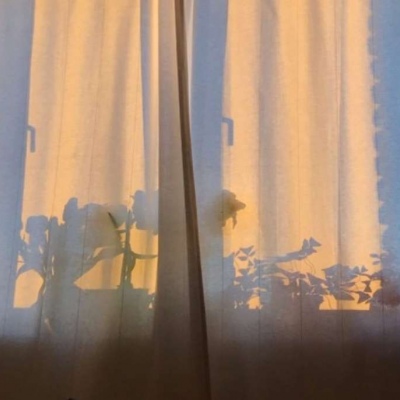 林知意/聊天背景图/你找到了那个陪你跨年的人么