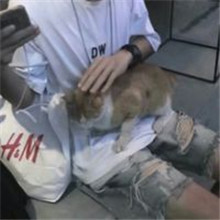 最受欢迎的男生半身头像不露脸