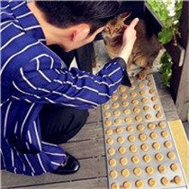帅哥抱猫头像