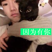 论坛头像图片