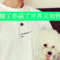 论坛头像图片