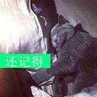 论坛头像图片