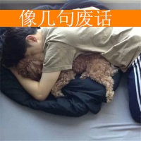 论坛头像图片
