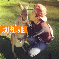 论坛头像图片