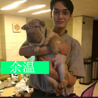 论坛头像图片