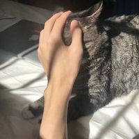 自带时尚感的短发帅哥头像