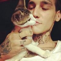 男生抱着猫的头像