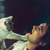 男生抱着猫的头像