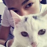男生抱着猫的头像