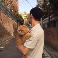 男生抱着猫的头像