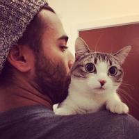 男生抱着猫的头像