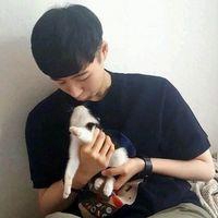 男生抱着猫的头像