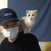 男生抱着猫的头像