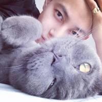 男生抱着猫的头像