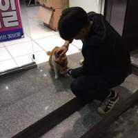 简单清爽又不失男人味男生头像霸气