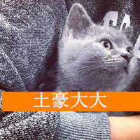 抱着猫的男生头像