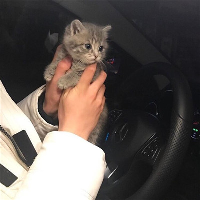 男生抱猫头像高清图片