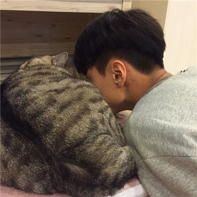 男生抱猫头像高清图片