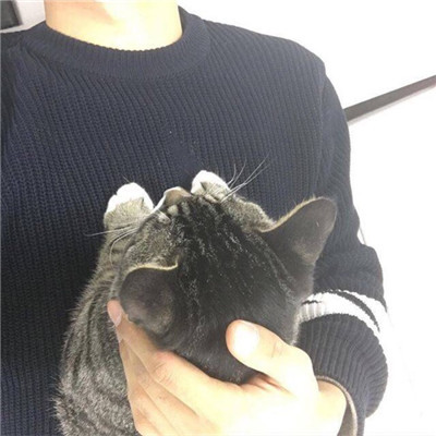 男生抱猫头像高清图片