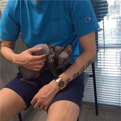 男生抱猫头像高清图片