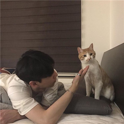 男生抱猫抱狗帅气暖心头像精选