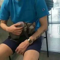 魅力男生头像