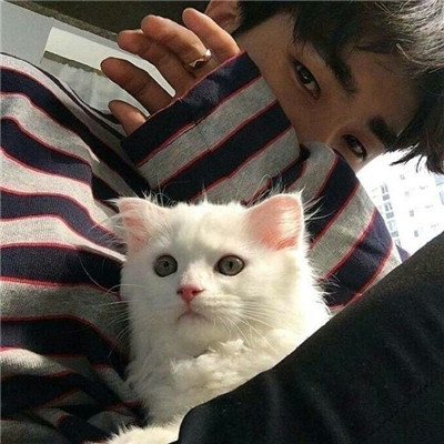 qq头像人抱着萌宠男生头像