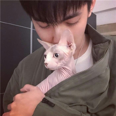 qq头像人抱着萌宠男生头像