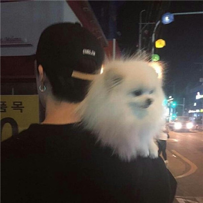 qq头像人抱着萌宠男生头像
