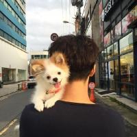 新春佳节降至提前分享多张帅哥头像图片
