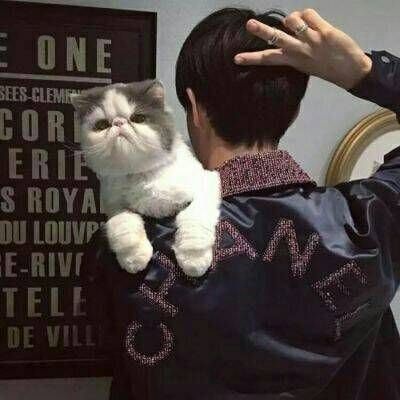 帅气男生抱动物头像
