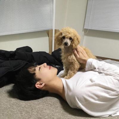 男生头像白色衬衫简约帅气