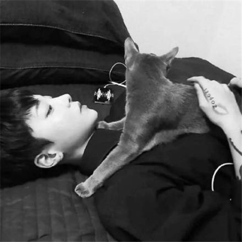 黑白男生头像480x480快手专用伤感