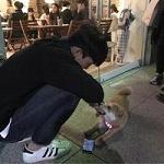 韩系少年帅气微博头像大全