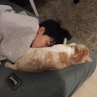 帅哥头像高清冷酷成熟精选
