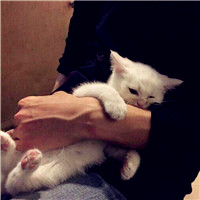 男生抱动物头像
