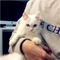男生抱动物头像