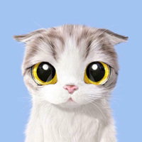 可爱卡通猫咪头像图片