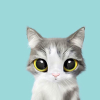 可爱卡通猫咪头像图片