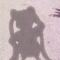 太阳下的影子经典头像