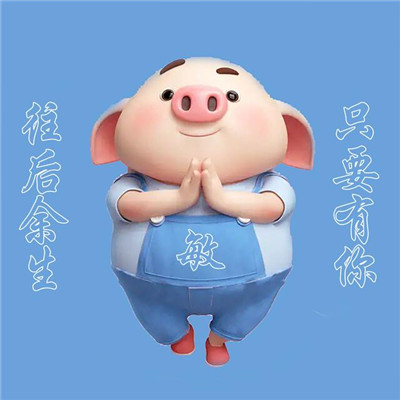 萌萌猪年姓氏头像