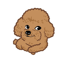 doge头像大全