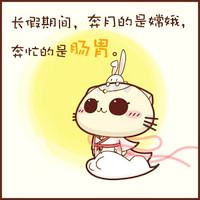 可爱猫咪的经典语录头像