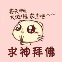 可爱猫咪的经典语录头像